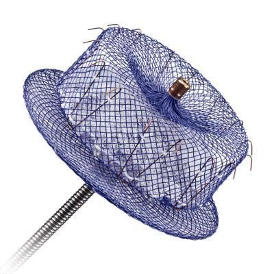 Amulet IDE 5-year results